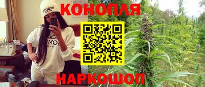 шишки Бузулук