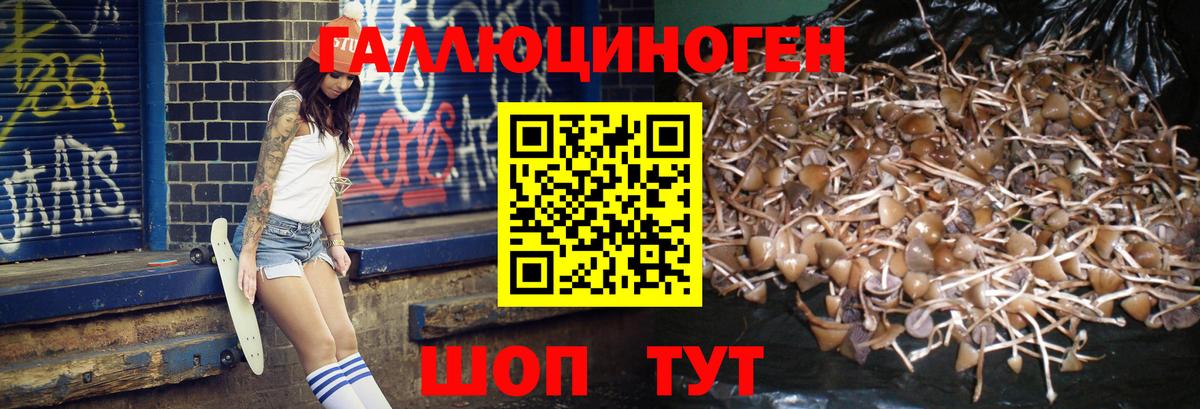 Партизанск  Псилоцибиновые грибы мухоморы  Псилоцибиновые грибы прущие грибы  Вход с VPN 