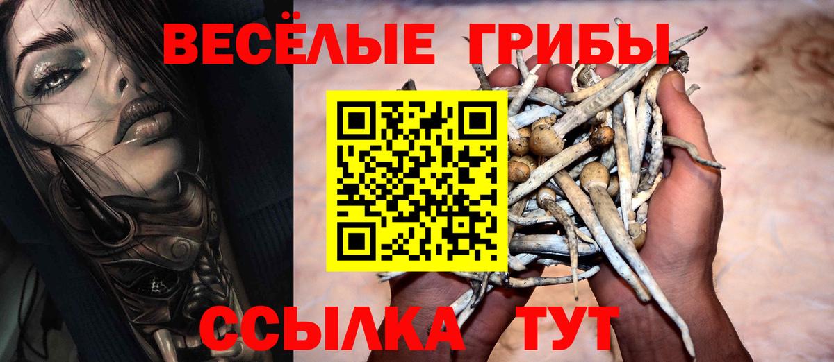 Галлюциногенные грибы Psilocybine cubensis Партизанск